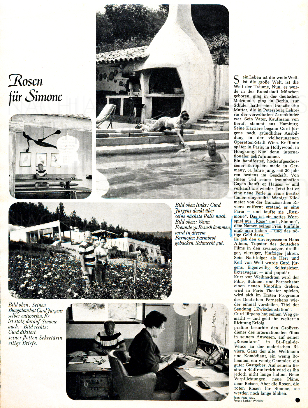 Praline: "Rosen für Simone", Nr. 25, 1967