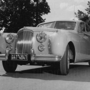 PR-Foto mit Jaguar, 1954